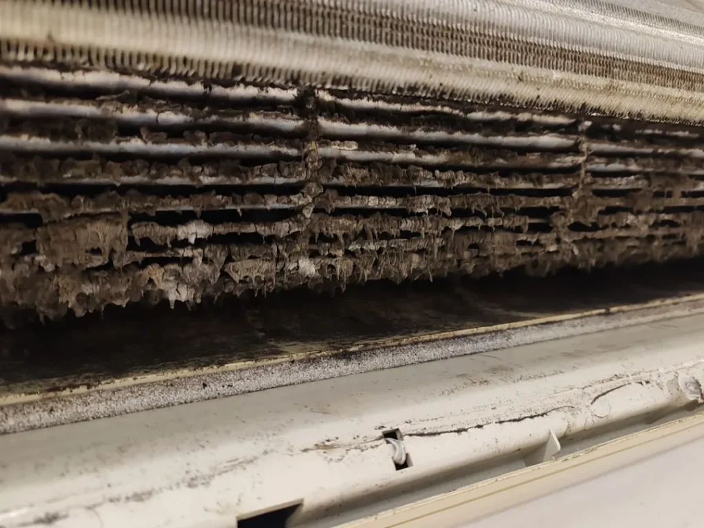 Klima prije čišćenja